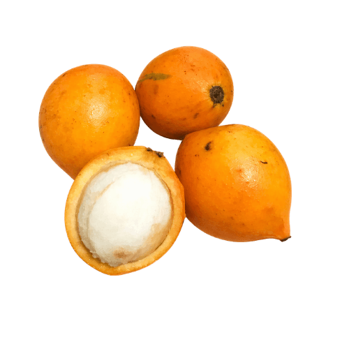 Garcinie