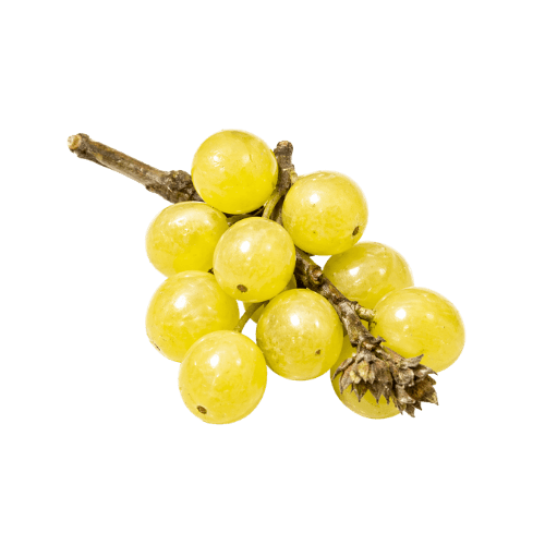 Prunus