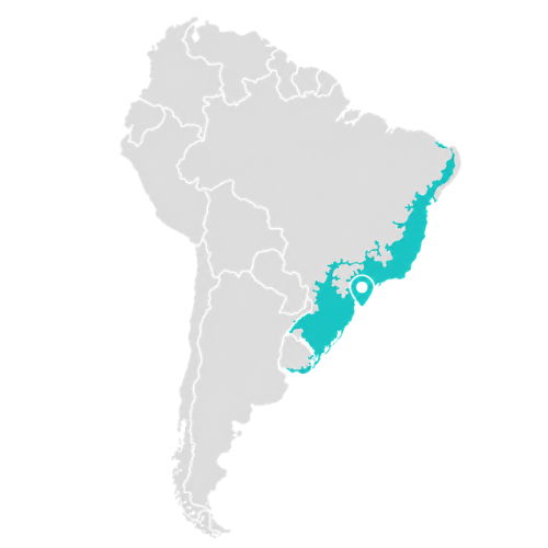 Mata Atlantica