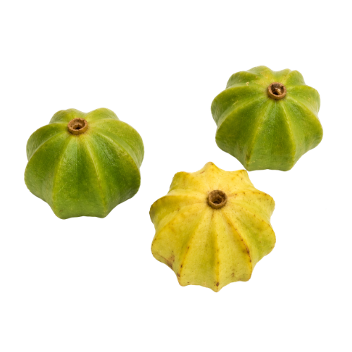 Melanopsidium