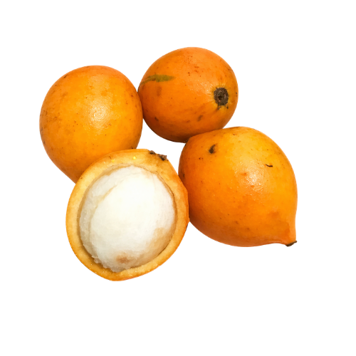 Garcinia brasiliensis - Bacupari