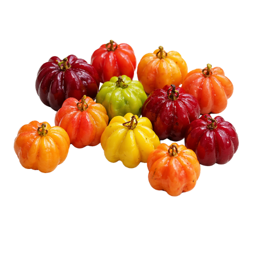 Eugenia uniflora var. Tutti Colore