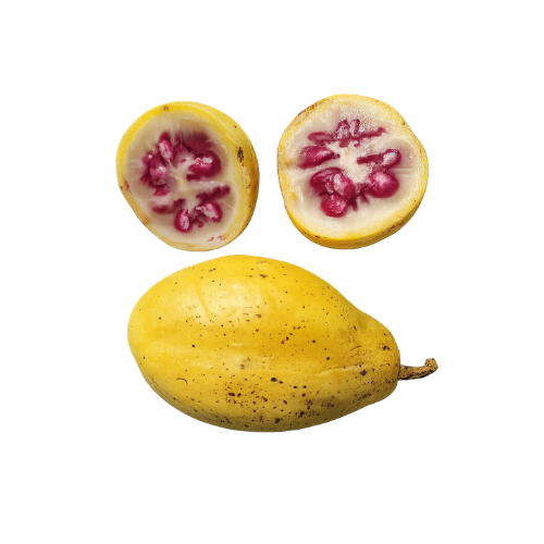 Solanum sibundoyense