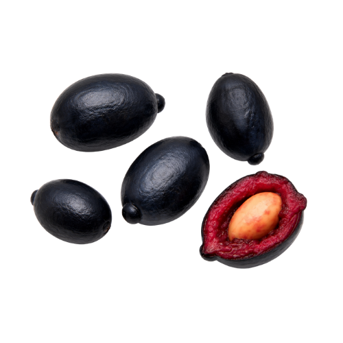 Eugenia sp Unana